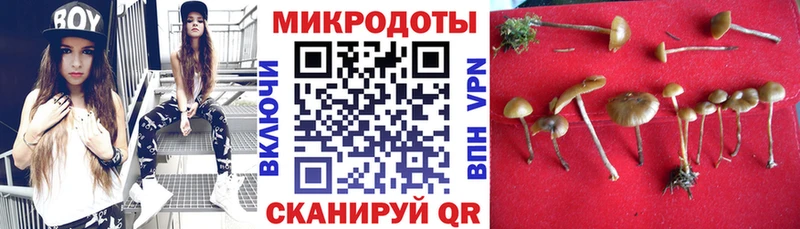Галлюциногенные грибы Cubensis  магазин продажи наркотиков  Горбатов 
